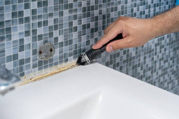 Best Office Mold Removal Services  in Tyrone, PA