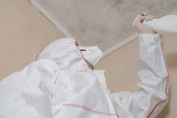 Best Mold Testing  in Tyrone, PA